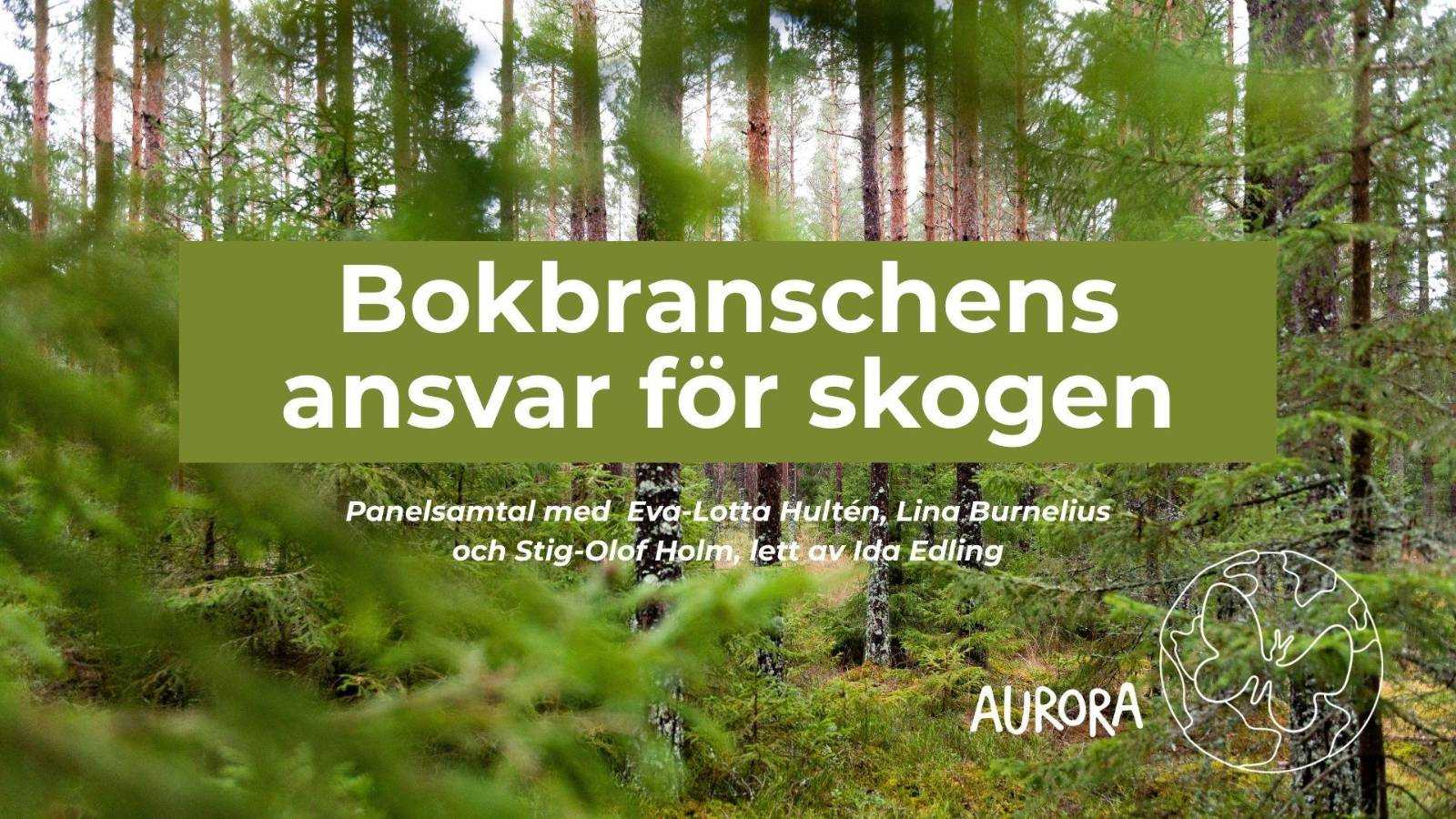 panel desciption + forest background